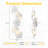 Autry Modern Bathroom Vanity Light with Flower Glass Shades, Matte White Metal Wall Sconce for Bedroom Living Room Hallway, G9 Base-1530463083