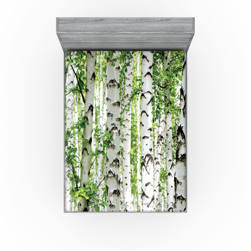 Ensemble de 2 draps-housse Ambesonne Forest, Drap-housse de taille très grand