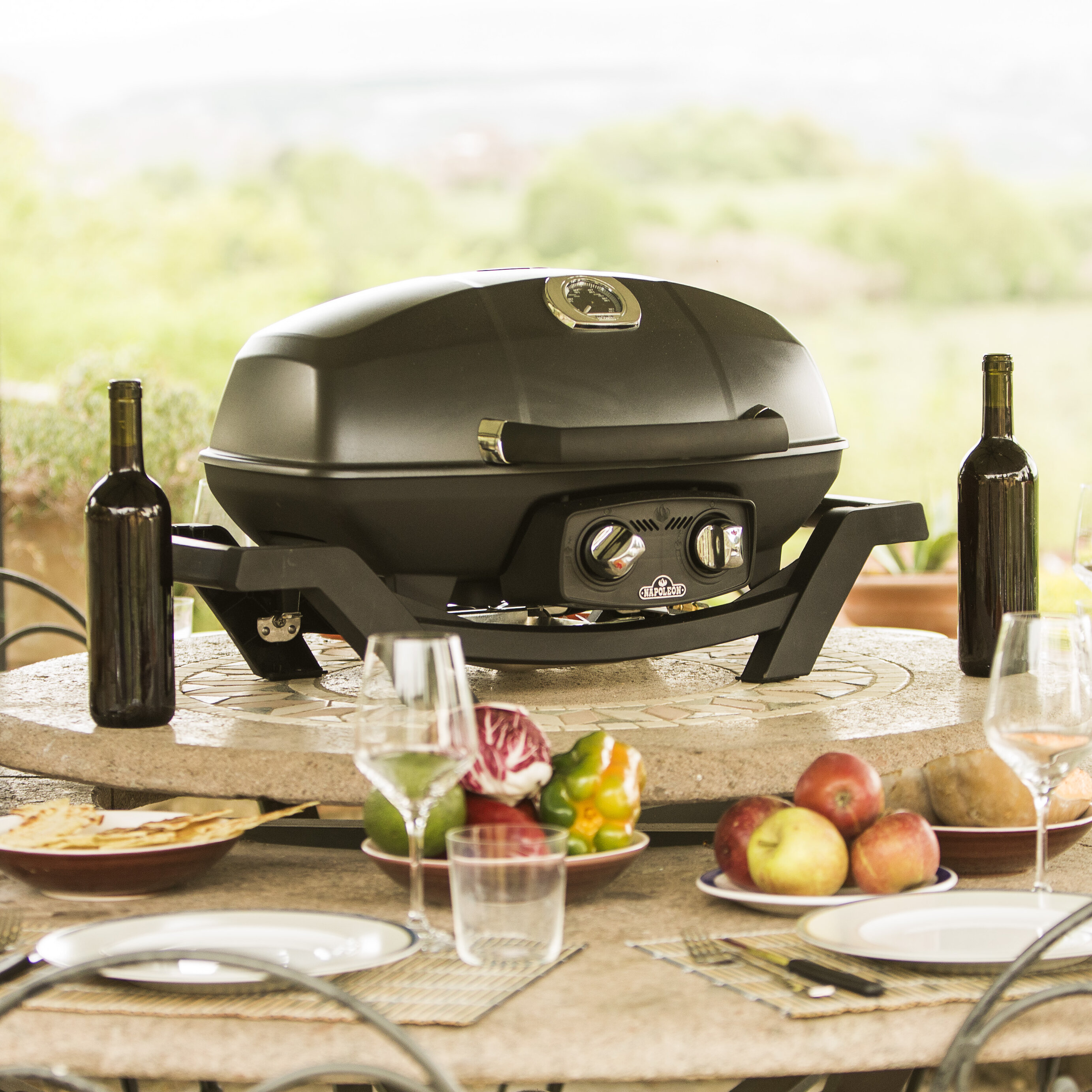 Our Top Electric Grills 