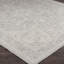 Aspa Traditional Indoor/Outdoor Rug