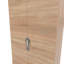 Bhodhini Manufactured Wood Wardrobe-1903141745