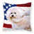 Bichon frisé 2