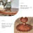 Modern Solid Wood End Table
