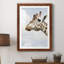 Grumpy - Photographie avec cadre photo-1107403279-1107403504