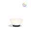 Luna Lamp 23.5" RGBW-1012468995-1012468997-1012469005