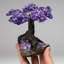 Medium Amethyst Clustered Gemstone Tree on Amethyst Matrix (The Protection Tree)