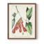 «Turpin Tropical Botanicals I», reproduction encadrée - bois massif-1164043794-1164043802