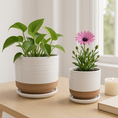 Jardinière décorative ronde avec soucoupe pour la décoration intérieure - Pot de fleurs texturé élégant pour le patio ou le salon - ensemble de 2, 6 po, 8 po