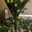 Customer photo 6 of 6