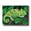 Art mural sur toile Epic Graffiti «Femme voilée caméléon» par Rebecca Wang-106172912