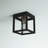 Alynda Flush Mount-767230634