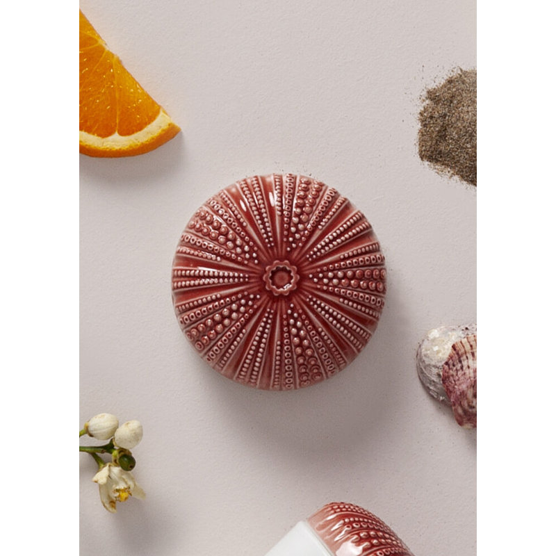 Echoes of Nature Mediterranean Beach Scented Jar Candle