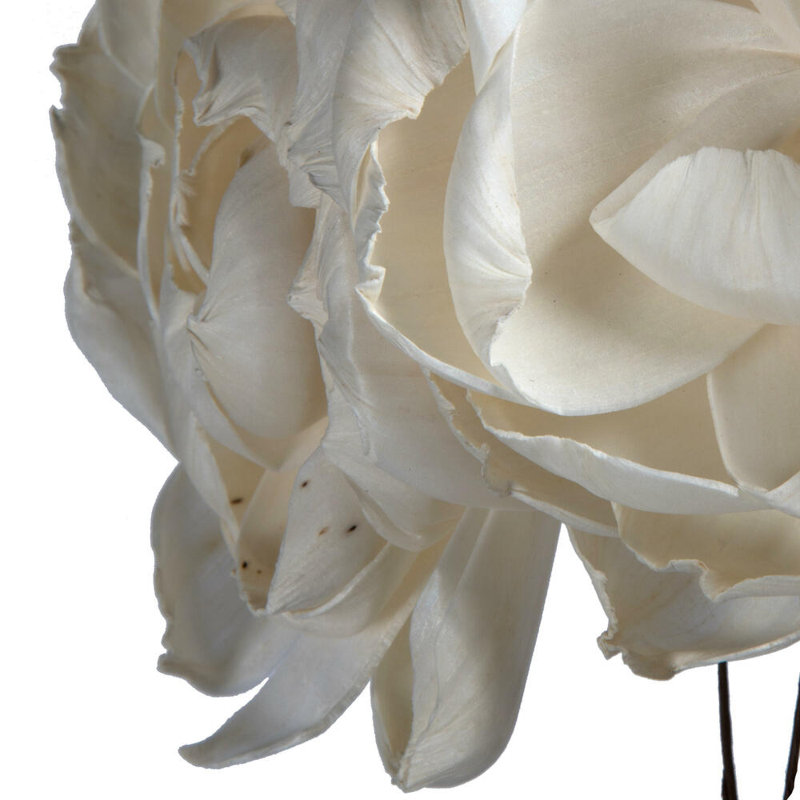 Centre de table pivoine Vickerman