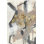 «Golden Blush I» par Jennifer Goldberger - reproduction d'art sur toile