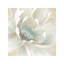 Winter Blooms I by Carol Robinson - Painting on Canvas-612101586-634390671