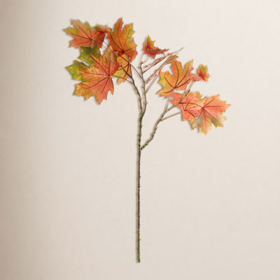 Gabriel 31" Maple Branch