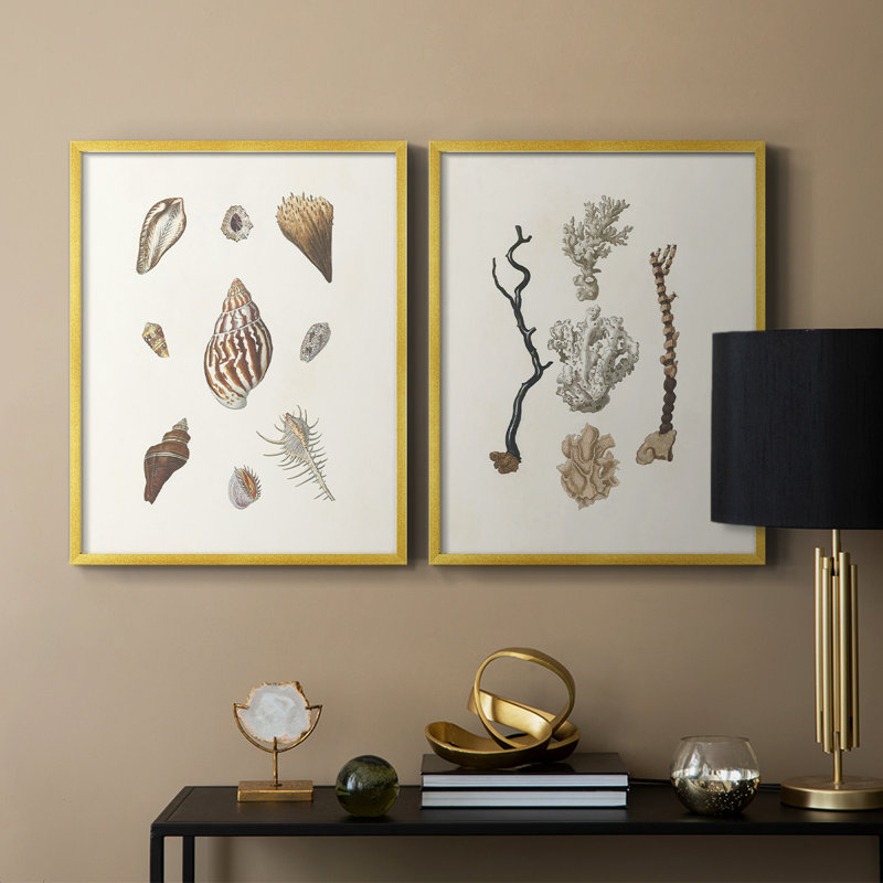 Knorr Shells & Coral IX - reproduction encadrée de qualité supérieure - prête à être accrochée - aucun clou requis - aucun clou requis