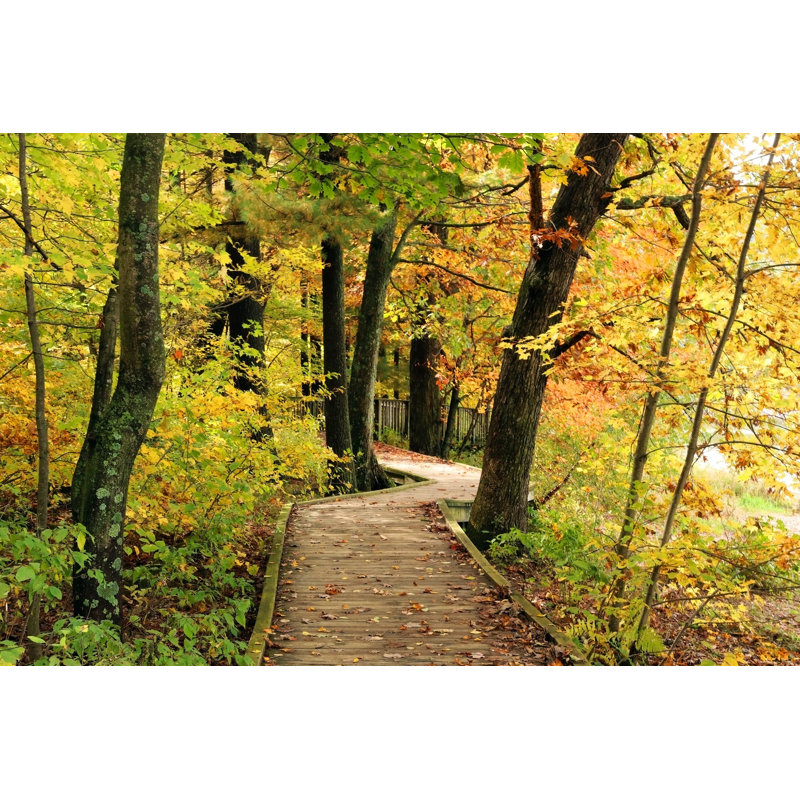 Nature fond par Uwmadison - photographie sur toile tendue, H 8 po x l 12 po