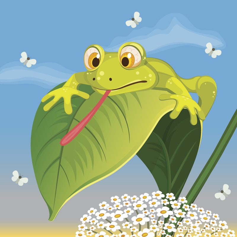 Chehalis Frog by Nataka - Wrapped Canvas Print, 30cm H x 30cm W 3.8cm D