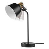 Betterton Metal USB Desk Lamp Lamp