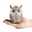 Statue de chouette brune scintillante
