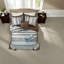 Ensemble de literie luxueux en coton de style traditionnel réversible bleu