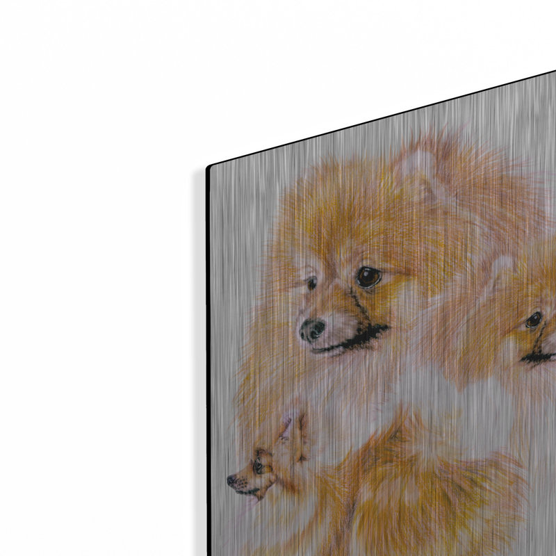 "Pomeranian" par Barbara Keith, H 16 po x l 12 po