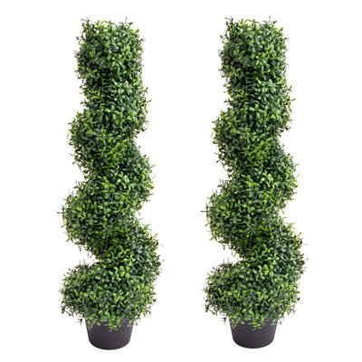90cm Plant
