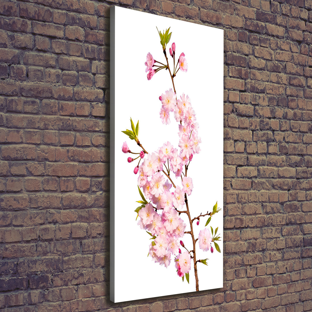 Cherry Blossoms - Wrapped Canvas Print