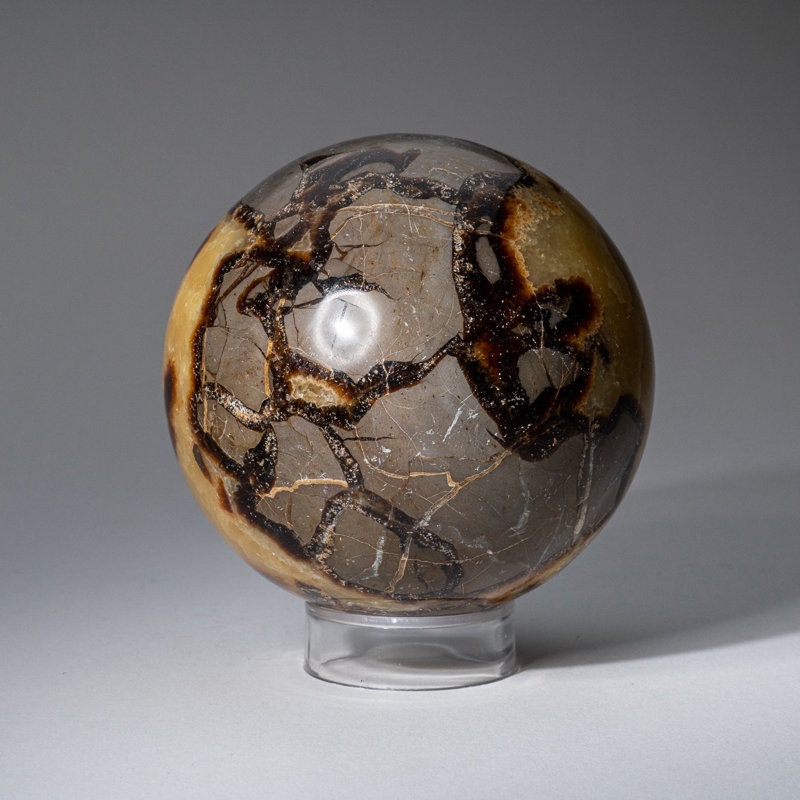 Genuine Polished Septarian (2") Sphere from Madagascar, 3.75" H x 3.75" W x 3.75" D, Yellow Calcite/Brown Aragonite/Gray