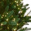 7.5' Dual LED  Royal Fir Tree