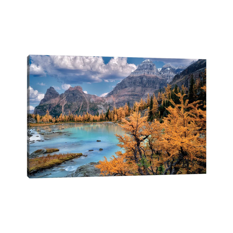 Rocky Mt. Larch 1 Piece Wrapped Canvas Wall Art, 101.6 cm H x 66.04 cm W x 3.175 cm D