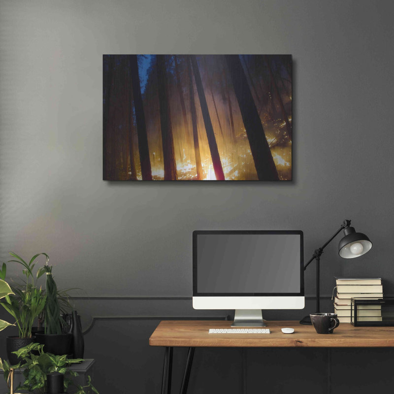 «Burning Forest» par Thomas Haney, H 24 po x l 36 po