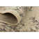 Tobitha Oriental Indoor Rug