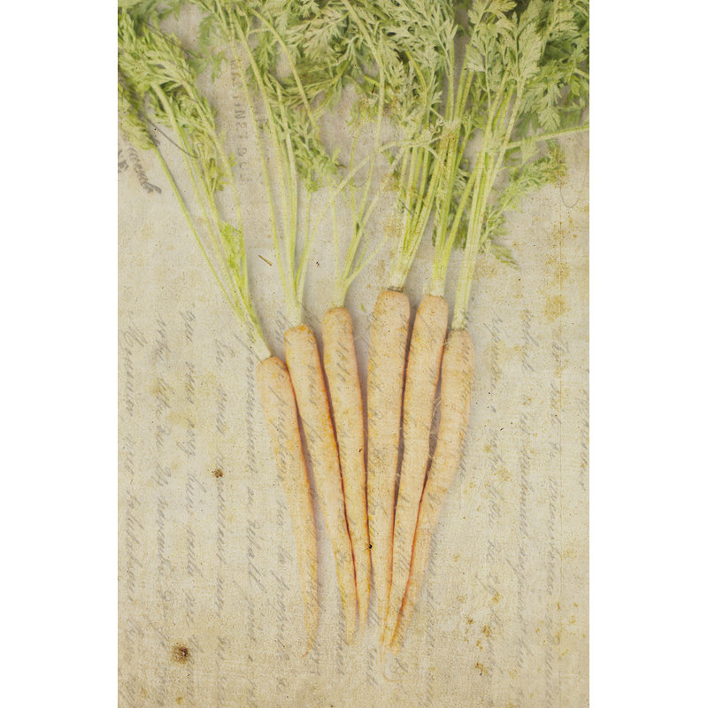 Herb still Life III by Irena Orlov - 1 Piece Wrapped Canvas Wall Art, 46cm H x 30cm W