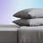 100% Cotton Jersey Knit Sheet Set-1350755725-1350755726