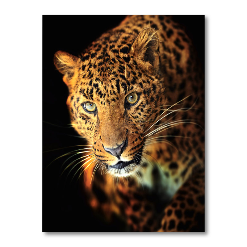 Portrait d'un léopard - reproduction sur toile, H 40 po x l 30 po, Toile tendue