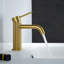 Mendavia Single-Hole Single-handle Bathroom Faucet-97809029