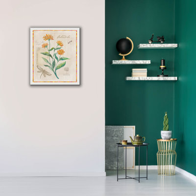  'Calendula Flora' by Fiona Stokes-Gilbert Canvas Wall Art, 26" x 30"