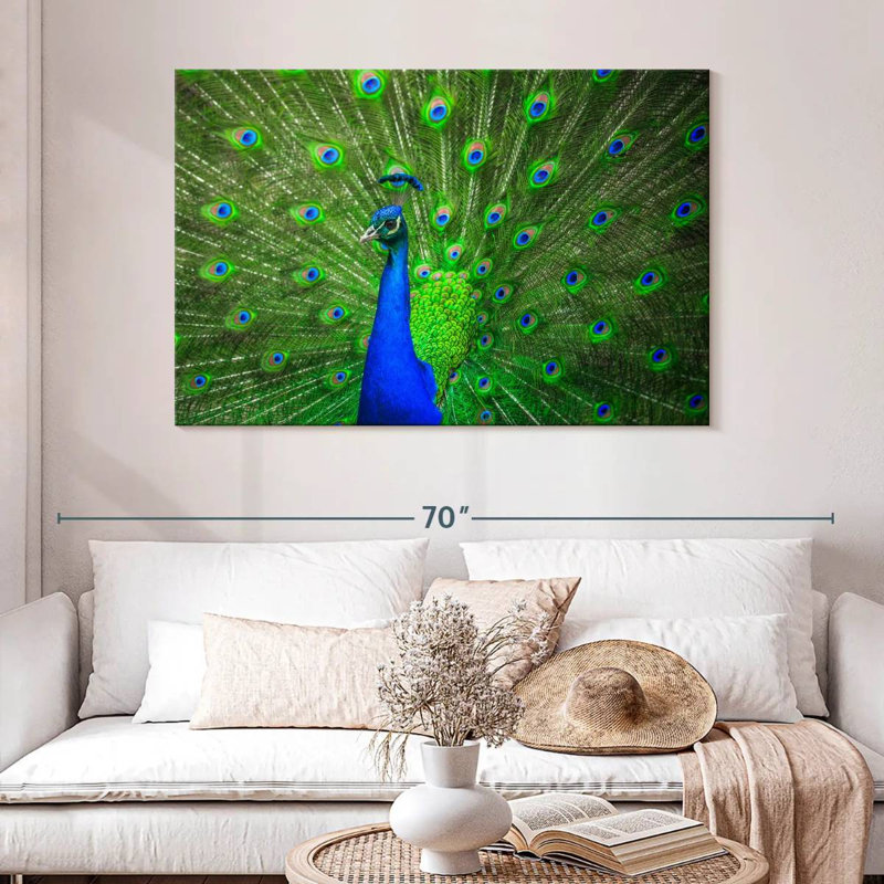 Brampt Dazzling Blue Peacock