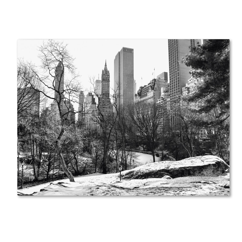 «Central Park» par CATeyes, Wabasha, reproduction de photo sur toile tendue encadrée, H 14 po x l 19 po x P 2 po