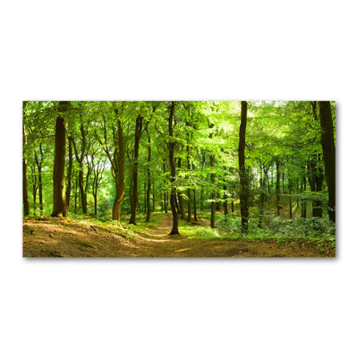 Forest Track - Wrapped Canvas Print