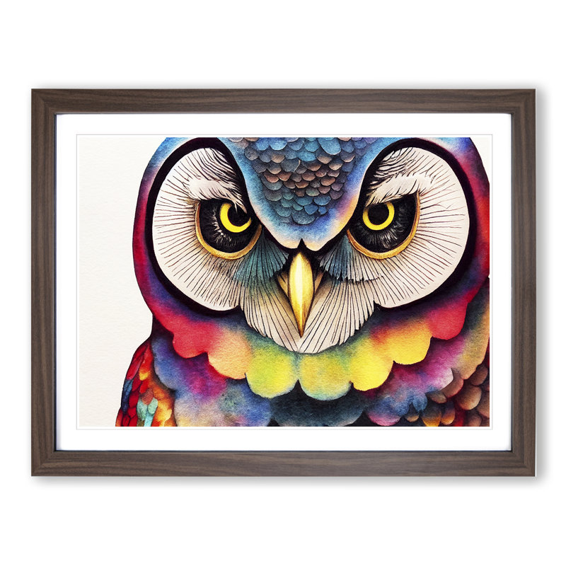Colourful Owl Vol.1 1 Piece Wall Art, 34cm H x 46cm W x 2cm D, Walnut Framed