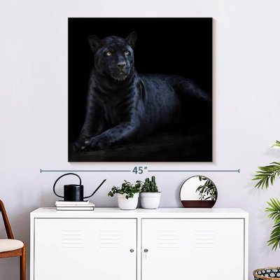 Brampt Black Jaguar