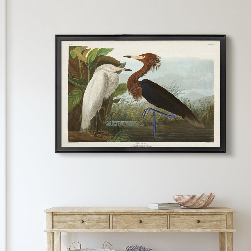 Héron mauve - reproduction d'art sur toile, H 22,5 po x l 30,5 po x P 1,5 po, Noir