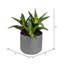 10'' Faux Succulent Plant in Ceramic Pot