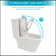 Modern Ceramic One Piece Toilet,Dual Flush With Soft Clsoing Seat