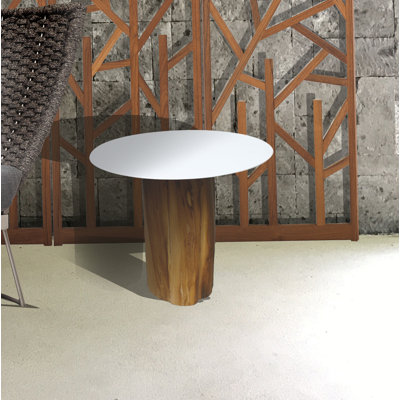 Lillian Tree Stump End Table