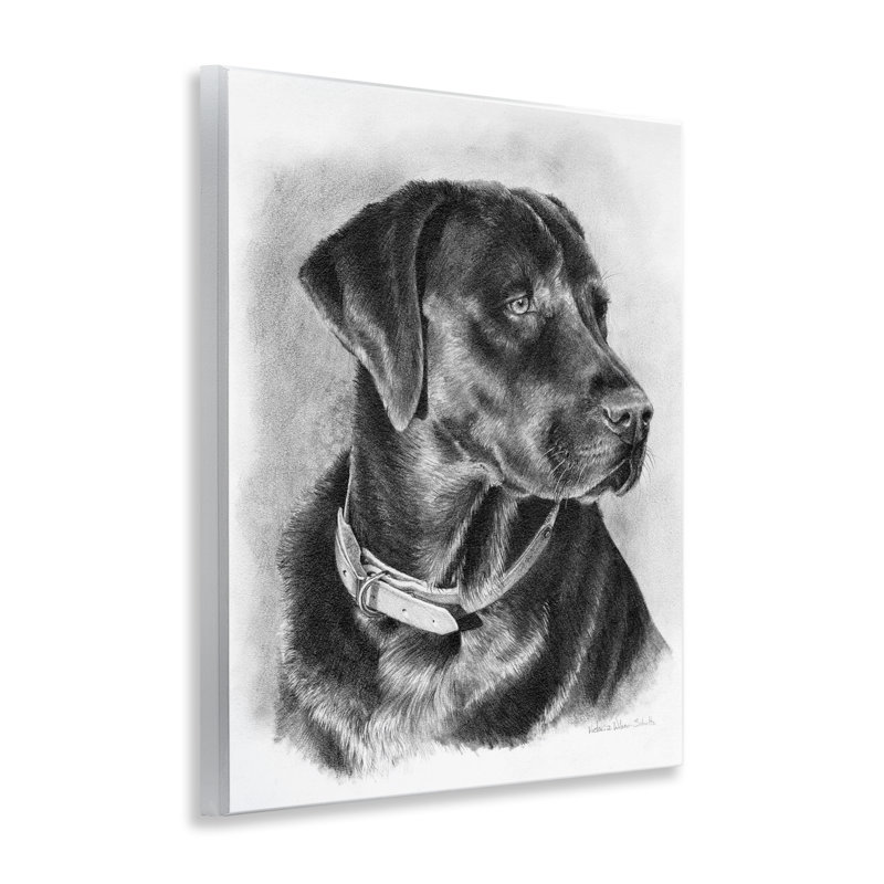 «Black Lab», art mural sur plaque par Victoria Schultz