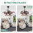 42" Retractable Ceiling Fan With Light And Remote, Farmhouse 6 Speeds Caged Ceiling Fan For Bedroom